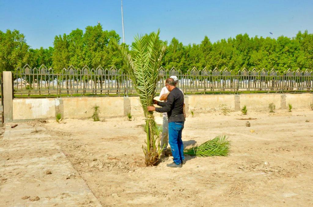 The College of Pharmacy at the University of Basrah organizes a voluntary campaign to afforest its gardens for a green environment   